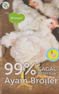 99 % Gagal Beternak Ayam Broiler