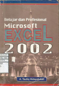 Belajar dan Profesinal Microsoft Excel 2002