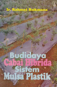 Budidaya Cabai Hibrida Sistem Mulsa Plastik