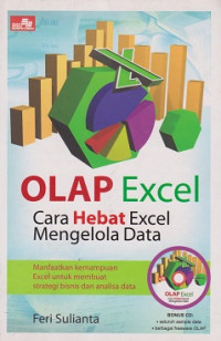 OLAP Excel Cara Hebat Excel Mengelola Data