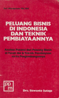 Peluang Bisnis Di Indonesia dan Teknik Pembiayaannya