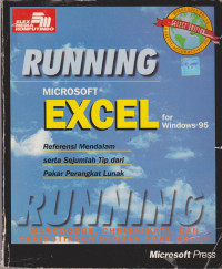 Running Microsoft Excel for Windows 95