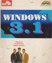 Windows 3.1